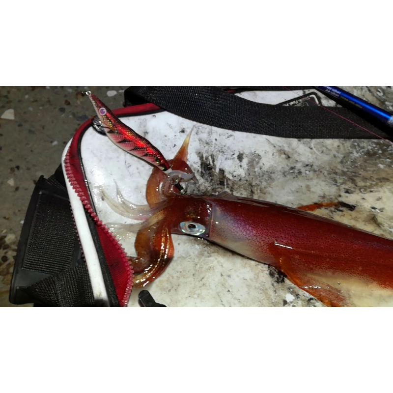 Molix Millerighe Evo 10cm White Shrimp Kalamar Zokası