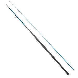 Ryuji Shore Game Fuji KW 295cm 30-100gr Shore Jig Olta Kamışı